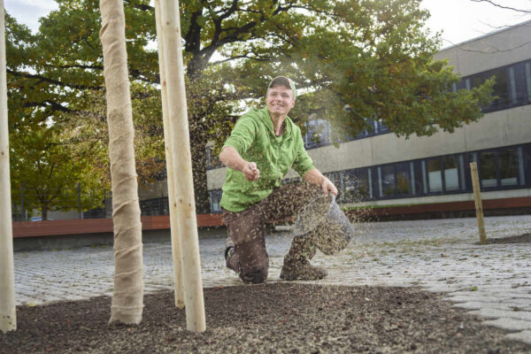 Gärtner säjrt Grassamen aus © Westend61 / Christian Vorhofer