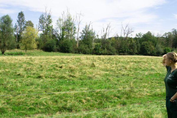 Die FÖJlerinnen auf der Suche nach den Wasserbüffeln © Alexandra Königseder