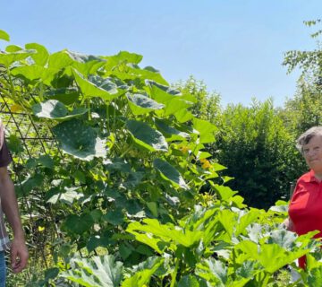 Gewinner Naturgartenpreis © Stadt Burghausen