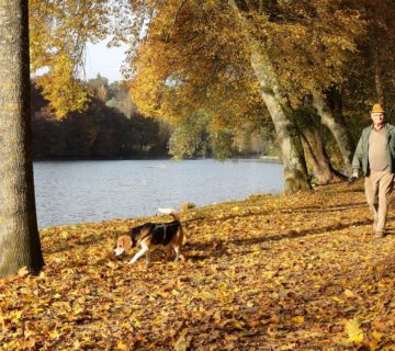 Mann mit Hund am Wöhrsee © Gerhard Nixdorf