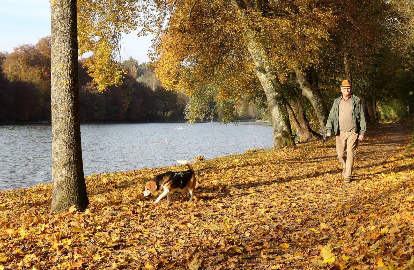 Mann mit Hund am Wöhrsee © Gerhard Nixdorf
