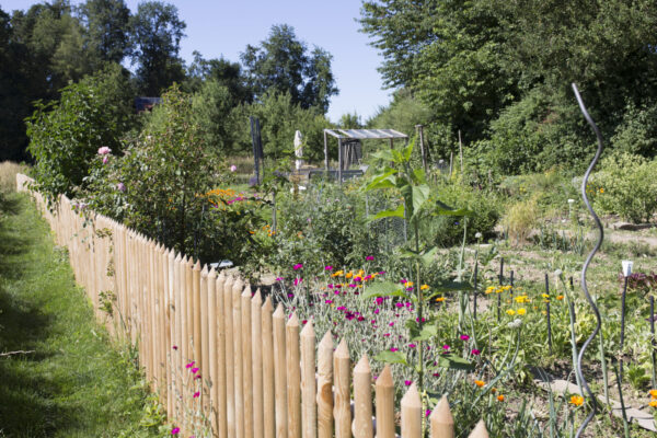 Interkultureller Garten © Hannah Soldner