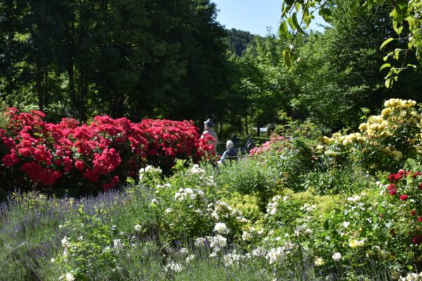 Park in Burghausen © Stadt Burghausen