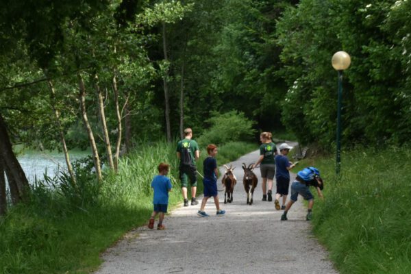 FÖJlerin und FÖJler mit Ziegen und Kindern © Stadt Burghausen