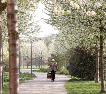 Blühende Bäume im Stadtpark © Gerhard Nixdorf