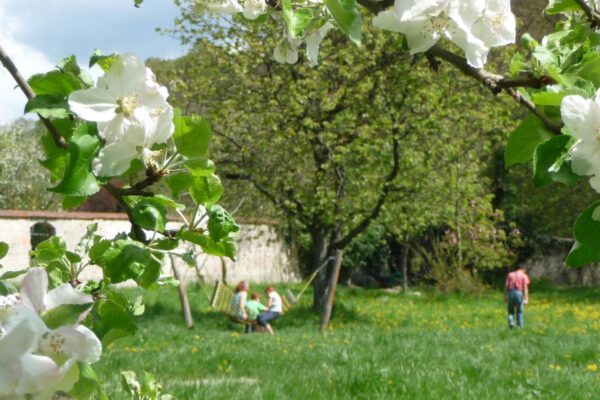 Kirschblüte im Bräugartl © Burghauser Touristik GmbH