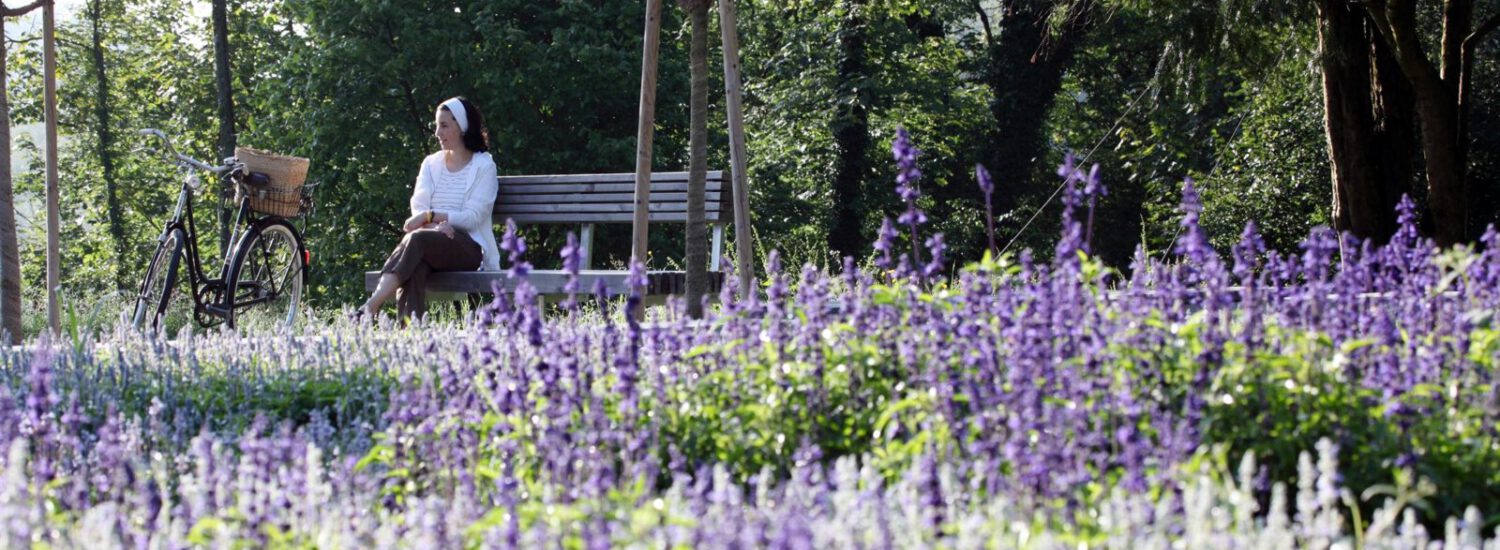 Lavendelbeet im Botanischen Garten © Burghauser Touristik GmbH