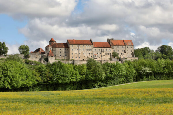 Wiese und Burg © Gerhard Nixdorf
