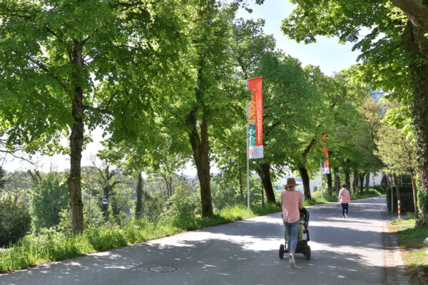 Straße mit Bäumen in Burghausen © Gerhard Nixdorf Straße mit Bäumen in Burghausen © Gerhard Nixdorf
