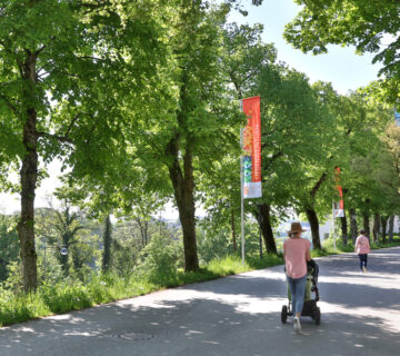 Bäume auf Weg zur Burg © Gerhard Nixdorf