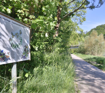 Infostafel an der Salzach © Gerhard Nixdorf