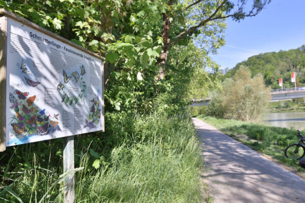 Infostafel an der Salzach © Gerhard Nixdorf