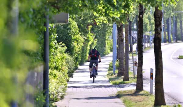 Radfahrer auf Radweg © Gerhard Nixdorf