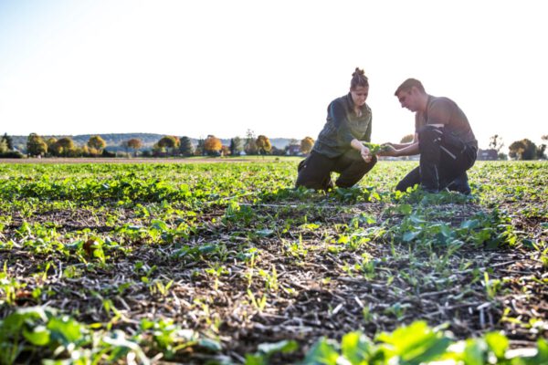 Farmerin und Farmer begutachten Feld © Annette Birkenfeld