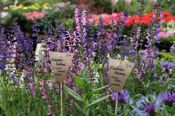 Symbolbild Märkte in Burghausen © Burghauser Touristik GmbH