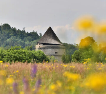 Prado de flores con torre de pólvora al fondo © Burghauser Touristik GmbH