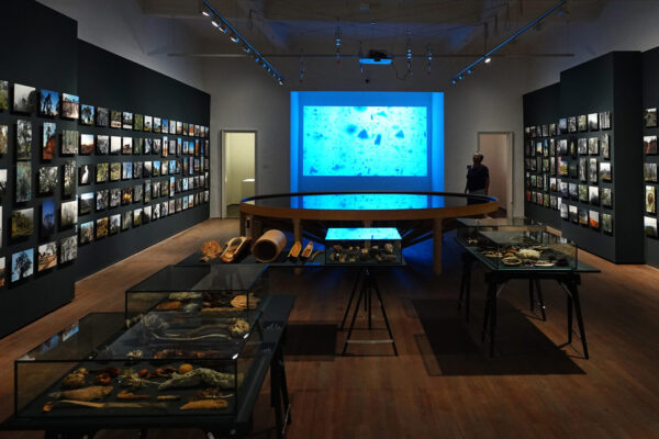 Heinsdorff_HDF_Heins DSC02557--mb