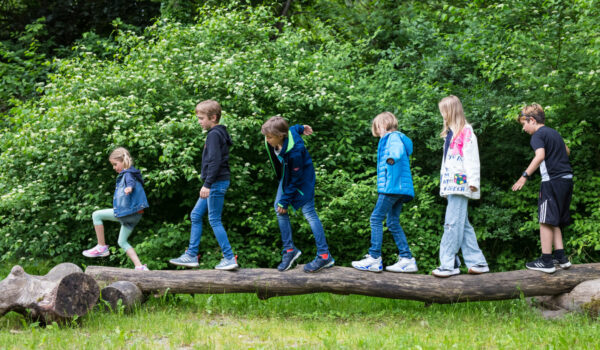 Niños haciendo equilibrio sobre el tronco de un árbol en Bräugartl © Hannah Soldner