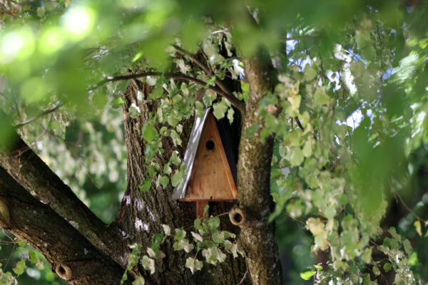 Brutkasten an Baum © Gerhard Nixdorf