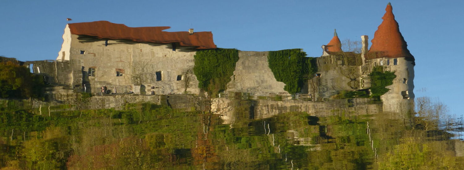 Burg spiegelt sich im Wöhrsee © Härzschel