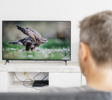 Mann von hinten beim Fernsehen © Westend61 / Josep Rovirosa