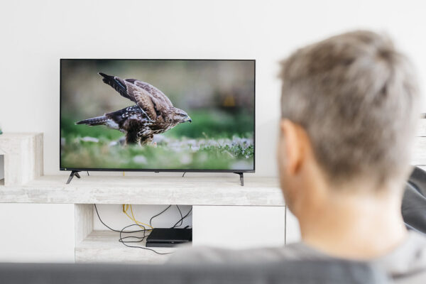 Mann von hinten beim Fernsehen © Westend61 / Josep Rovirosa