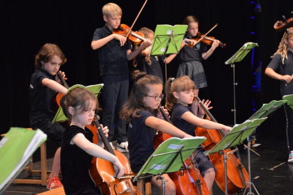 Nikolauskonzert-Wetzl_0401