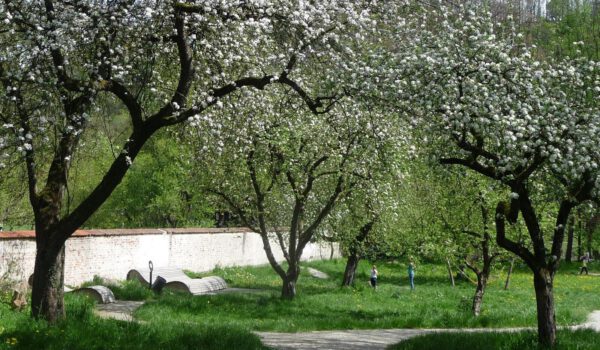 Streuobstwiese © Stadt Burghausen Streuobstwiese © Stadt Burghausen