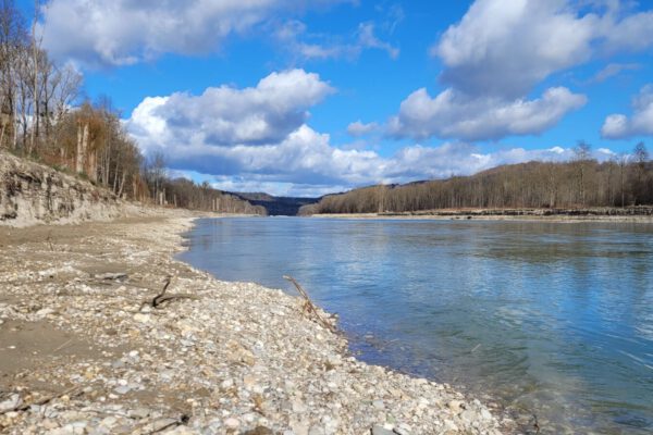 Uferrueckbau_BA01_Tittmoning - (Salzach) Uferrueckbau_BA01_Tittmoning - (Salzach)