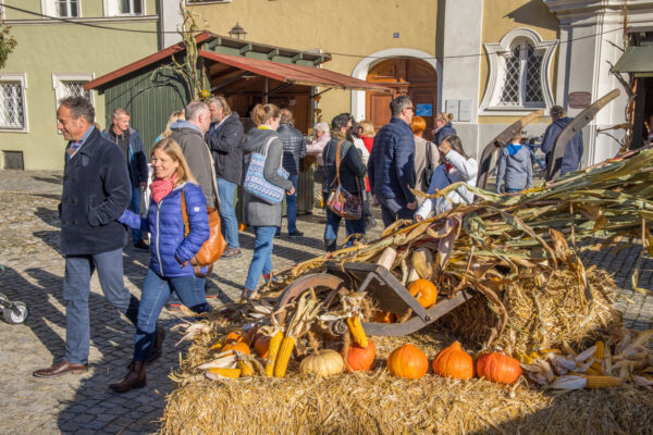 Web-Gallimarkt Web-Gallimarkt