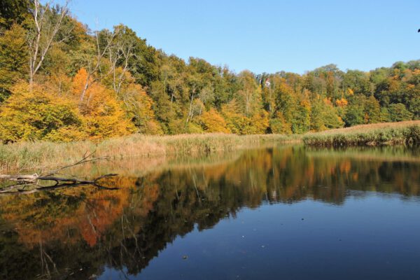 Wöhrsee im Herbst © Stadt Burghausen