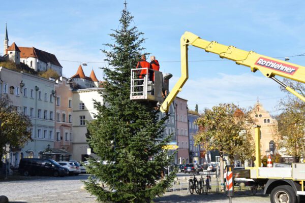 Zwei Elektriker der Stadt Burghausen bringen die Lichterkette am Christbaum am Stadtplatz an