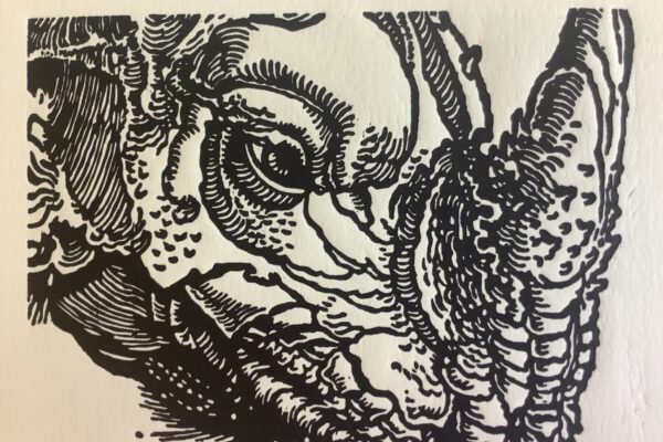 Marcus Berkmann 14.7.-6.8.2023 (Bild) Marcus Berkmann 14.7.-6.8.2023 (Bild)