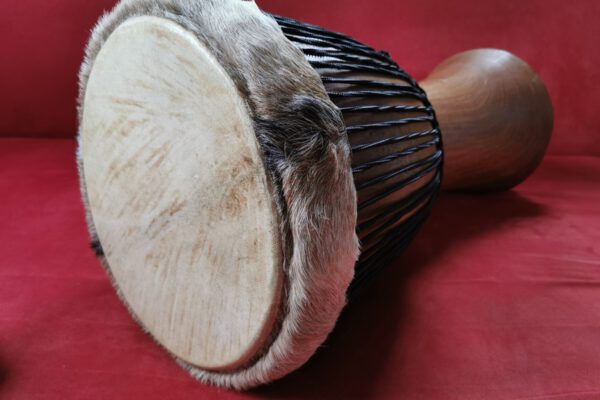 drum circle ab 9jahren (1)