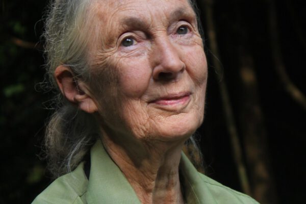 Jane Goodall in Gombe National Park