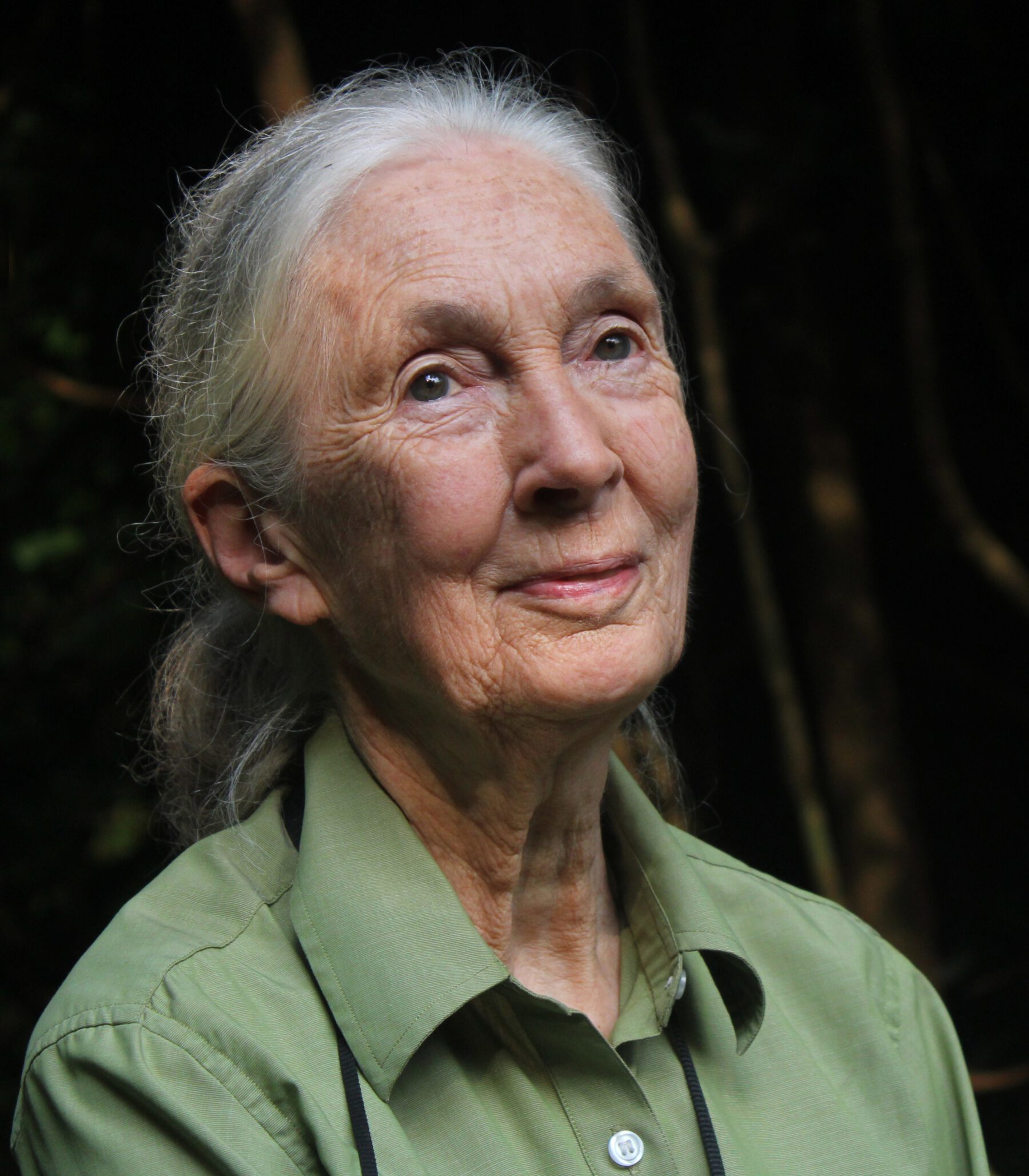 Raisons D Espérer Une Soirée Avec Jane Goodall Stadt Burghausen