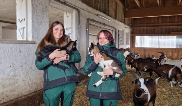 Isabel Breitfelder (l.) und Lina Frey, die beiden FöJ-lerinnen, mit zwei der neuen Kitze auf dem Arm beim Besuch der Tauerschecken Fotocredit: Stadt Burghausen/ebh