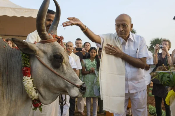 Der Doktor aus Indien