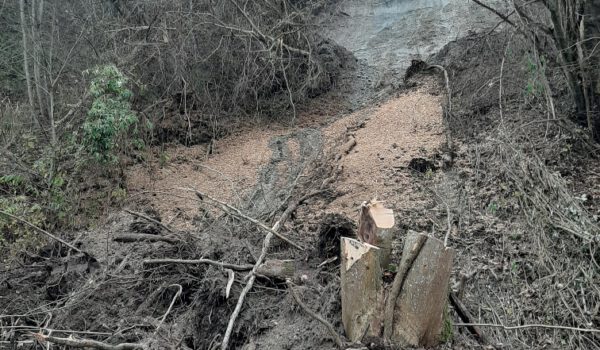 Der Hangrutsch am Treidelweg unterhalb des Klosters Raitenhaslach im Herbst 2022 hat auch neue Lebensräume für die Artenwelt geschaffen.