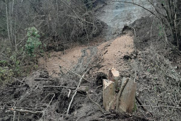 Der Hangrutsch am Treidelweg unterhalb des Klosters Raitenhaslach im Herbst 2022 hat auch neue Lebensräume für die Artenwelt geschaffen. Der Hangrutsch am Treidelweg unterhalb des Klosters Raitenhaslach im Herbst 2022 hat auch neue Lebensräume für die Artenwelt geschaffen.