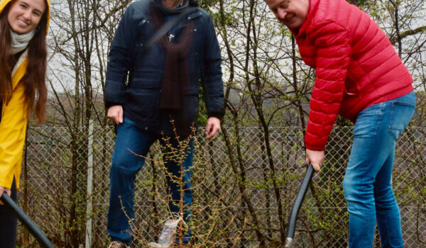 Vom zarten Gewächs zum Mammutbaum: Burghausens Erster Bürgermeister Florian Schneider, Umweltreferent Gunter Strebel und Wissenschaftlerin Dr. Verónica Relaño (v. re.) pflanzten im April zwei Mammutbäume im Botanischen Garten. Ihrer charakteristischen rotbrauen Rinde verdankt die Baumart den englischen Namen „Redwood“ (Rotholz).    Fotocredit: Stadt Burghausen / Franziska Schneider