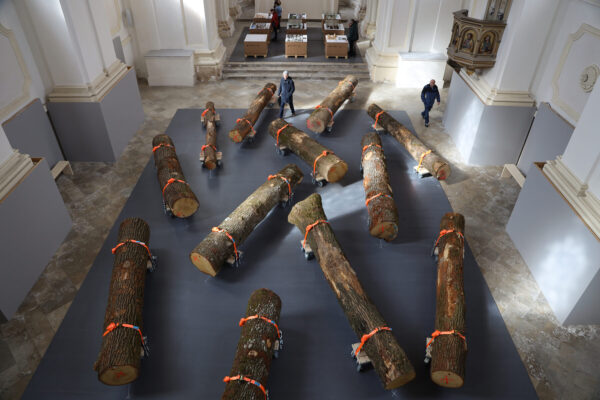 © Markus Heinsdorff © Markus Heinsdorff