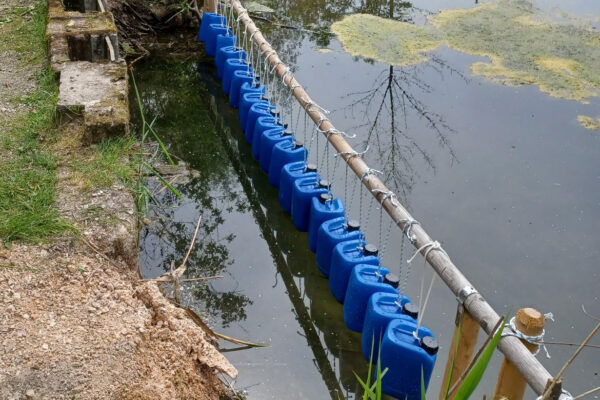Die Biberkette in Raitenhaslach Foto Stadt Burghausen Freudlsperger Die Biberkette in Raitenhaslach Foto Stadt Burghausen Freudlsperger
