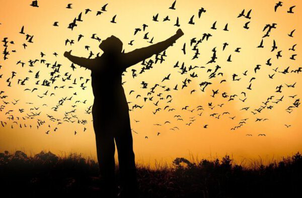 heike werbung heike werbung