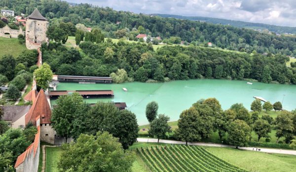 Weinberg am Burghang überhalb des Wöhrsees und unterhalb der längsten Burg der Welt Fotocredit: Königseder
