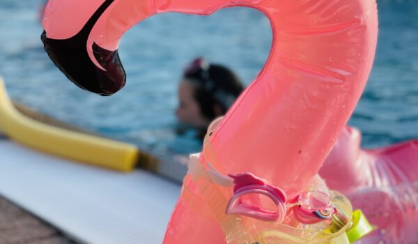 Die Bäder Burghausen sind sehr beliebt. Das Freibad sowie das Wöhrseebad haben einen Einzugsbereich von etwa 40 Kilometer. Bei hochsommerlichen Temperaturen am Sonntag, 18. Juni 2023, kamen allein ins Freibad 3.350 Badegäste. Fotocredit: Stadt Burghausen / Königseder