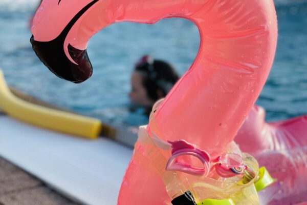 PM 153 Stadt Burghausen Freibad und Wöhrsee verzeichnen Rekord-Eintrittszahlen Foto köx Die Bäder Burghausen sind sehr beliebt. Das Freibad sowie das Wöhrseebad haben einen Einzugsbereich von etwa 40 Kilometer. Bei hochsommerlichen Temperaturen am Sonntag, 18. Juni 2023, kamen allein ins Freibad 3.350 Badegäste. Fotocredit: Stadt Burghausen / Königseder