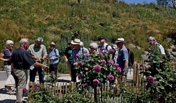 Besuch in Freyung bei der Landesgartenschau: Die ehrenamtlichen Burghauser Gärtner und Weinbauern zusammen mit dem Umweltamt der Stadt. Fotocredit: vhs Fotogruppe Rautter