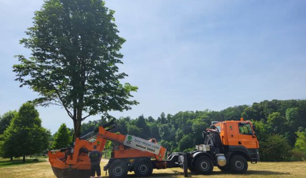 PM 155 Stadt Burghausen Großbaumverpflanzungen sind für alle aufregend, sicher auch für die Bäume. Wie oft fährt ein Baum schon durch Burghausen? Für die Mitarbeiter des Umweltamtes, die die Großbaumverpflanzungen in Auftrag geben, ist es immer sehr spektakulär und aufregend, wenn wieder eine Großbaumverpflanzung in Burghausen ist. © Stadt Burghausen / köx