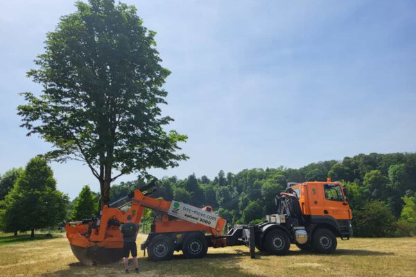 PM 155 Stadt Burghausen Großbaumverpflanzungen sind für alle aufregend, sicher auch für die Bäume. Wie oft fährt ein Baum schon durch Burghausen? Für die Mitarbeiter des Umweltamtes, die die Großbaumverpflanzungen in Auftrag geben, ist es immer sehr spektakulär und aufregend, wenn wieder eine Großbaumverpflanzung in Burghausen ist. © Stadt Burghausen / köx PM 155 Stadt Burghausen Großbaumverpflanzungen sind für alle aufregend, sicher auch für die Bäume. Wie oft fährt ein Baum schon durch Burghausen? Für die Mitarbeiter des Umweltamtes, die die Großbaumverpflanzungen in Auftrag geben, ist es immer sehr spektakulär und aufregend, wenn wieder eine Großbaumverpflanzung in Burghausen ist. © Stadt Burghausen / köx